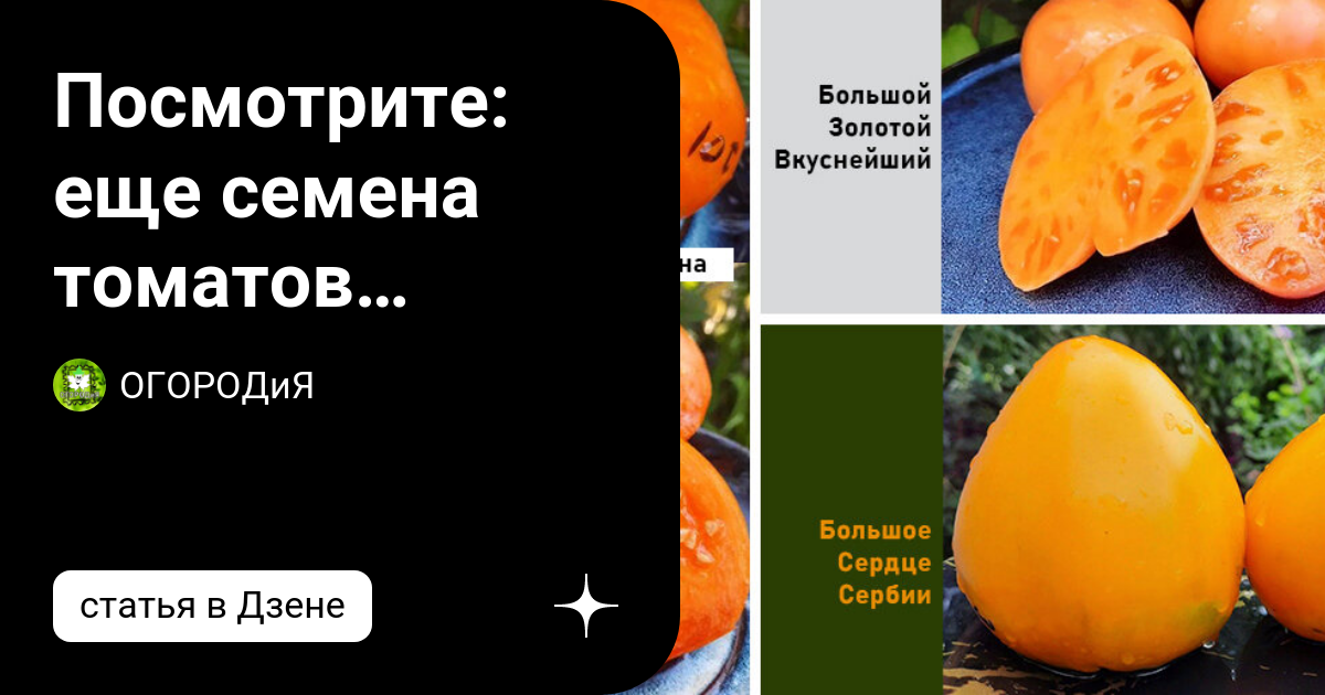 Томат фокусник. Томат Внучкина радость. Томат Внучкина любовь. Помидор фокусник описание. Внучкина радость томат отзывы фото урожайность характеристика.