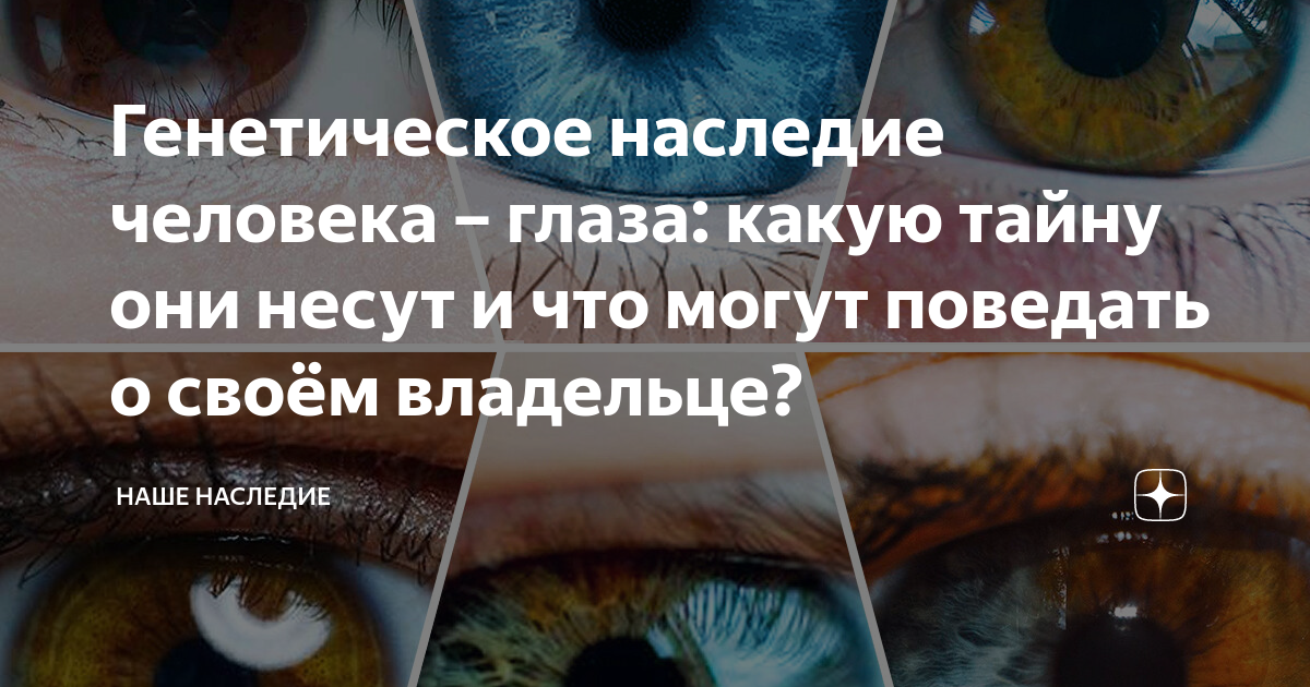 Для продолжения работы вам необходимо ввести капчу