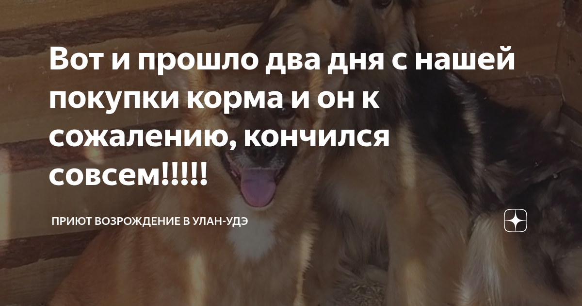 Вот и кончился последний урок сочинение егэ. Вот и кончился последний урок сочинение егэ. Сочинение по тексту. Я в отпуске сочинение. Сочинение по тексту стрельба утихла присыпанный землей.