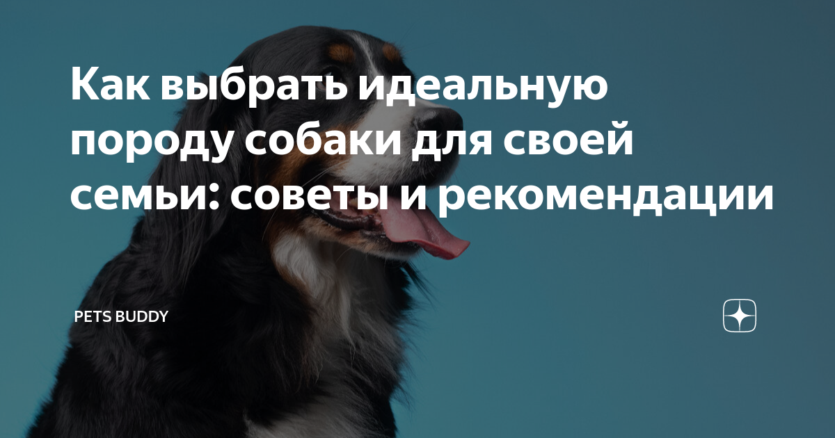 Размер собаки