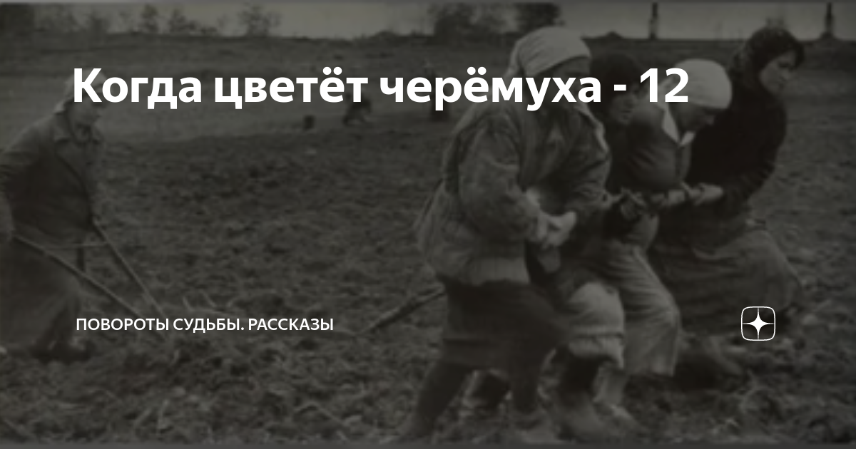 Повороты судьбы рассказы дзен читать. Повороты судьбы рассказы дзен читать