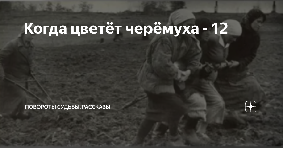 Крутой поворот судьбы рассказ на дзен часть. Повороты судьбы рассказы.