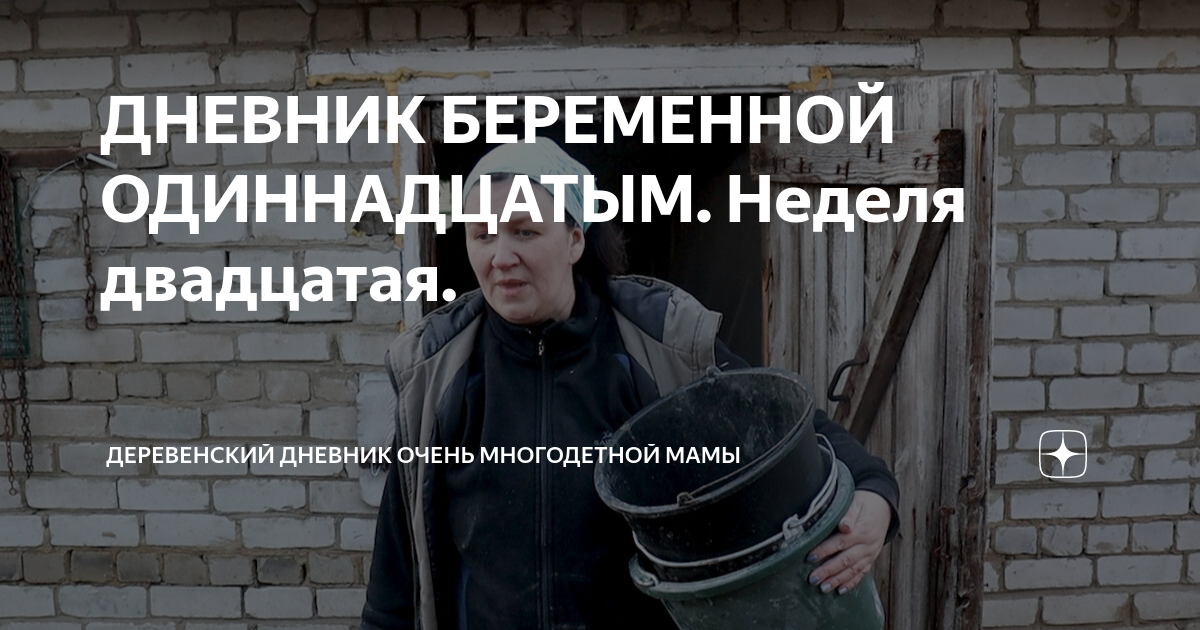 ДНЕВНИК БЕРЕМЕННОЙ ОДИННАДЦАТЫМ. Неделя двадцатая. | ДЕРЕВЕНСКИЙ ...