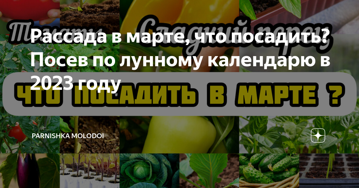 Томаты на рассаду в марте. Посев томатов на рассаду в марте. Что сажают в марте на рассаду. Перец посадка на рассаду в марте. Посев томатов в марте благоприятные