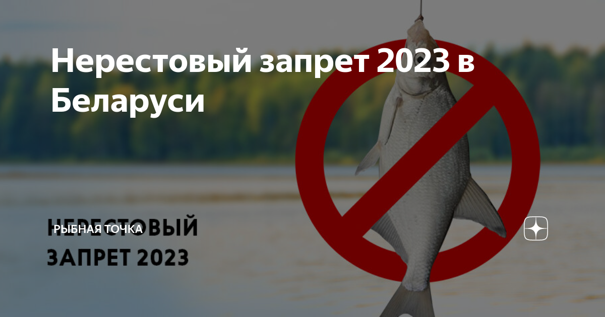 Нерестовый запрет. Нерестовый запрет 2023. Ловля в нерестовый запрет. Запрет на рыбалку 2023.