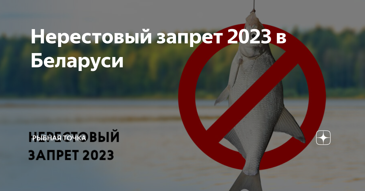 На какую рыбу запрет в апреле. Нерестовый запрет. нерестовый запрет 2025. запрет рыбалки 2025. нерестовый запрет в московской области.