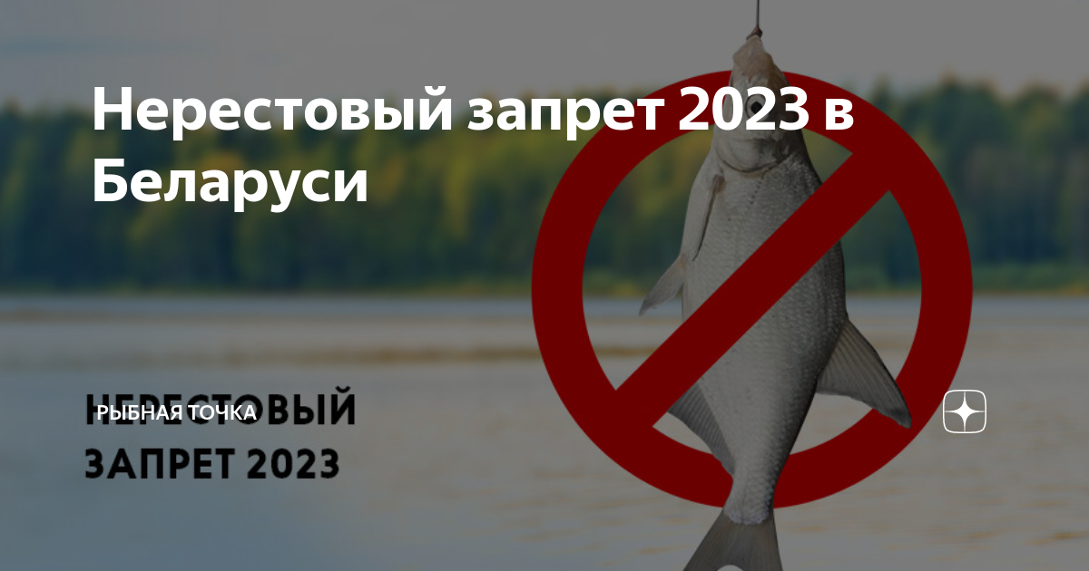 Нерестовый запрет 2023 год