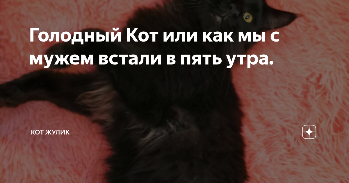 Котик залез под кровать