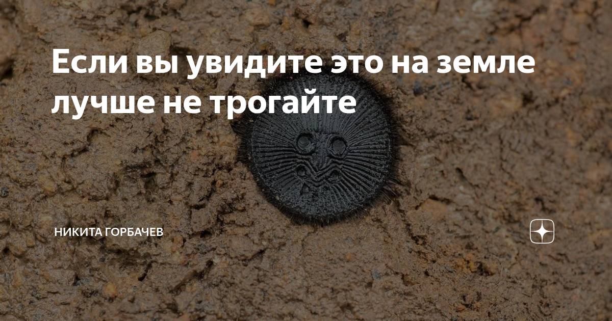 Если вы увидите это на земле лучше не трогайте | Никита Горбачев | Дзен
