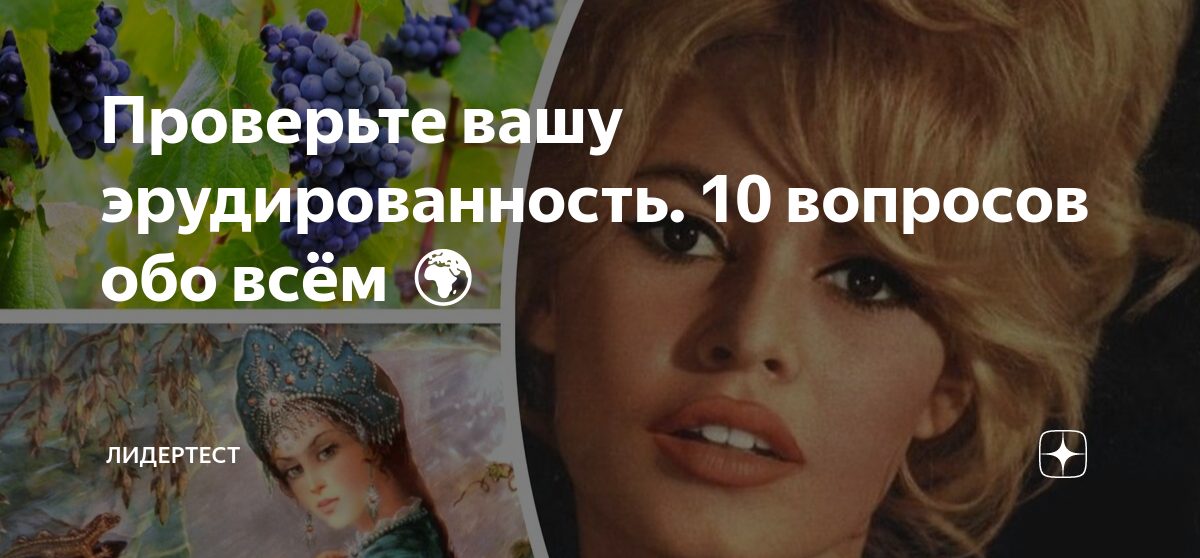 Проверьте вашу эрудированность. 10 вопросов обо всём 🌍 | ЛидерТест | Дзен