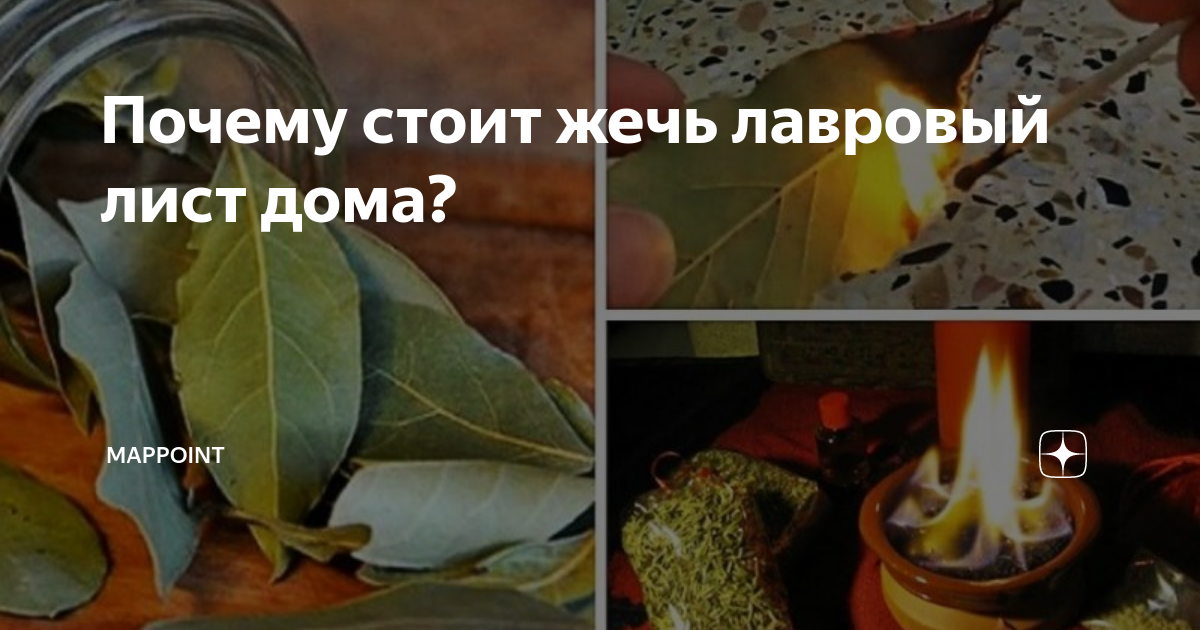 Для чего жгут лавровый лист дома. Для чего жгут лавровый лист дома