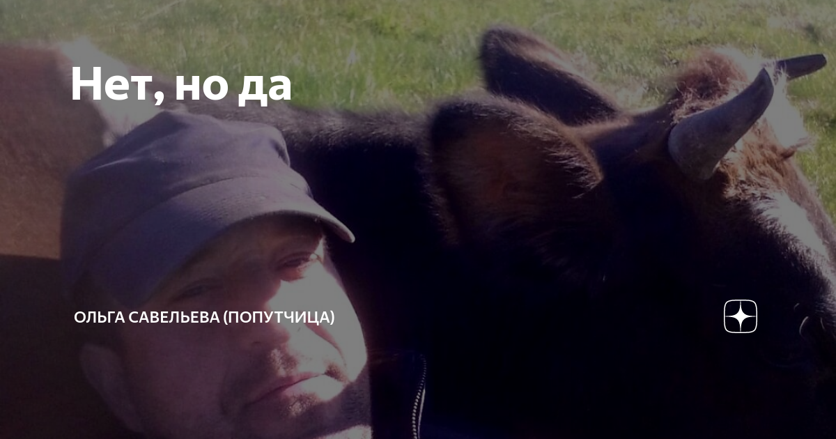 Нет, но да | ОЛЬГА САВЕЛЬЕВА (ПОПУТЧИЦА) | Дзен