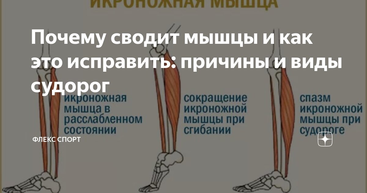 что нужно пить когда сводит мышцы
