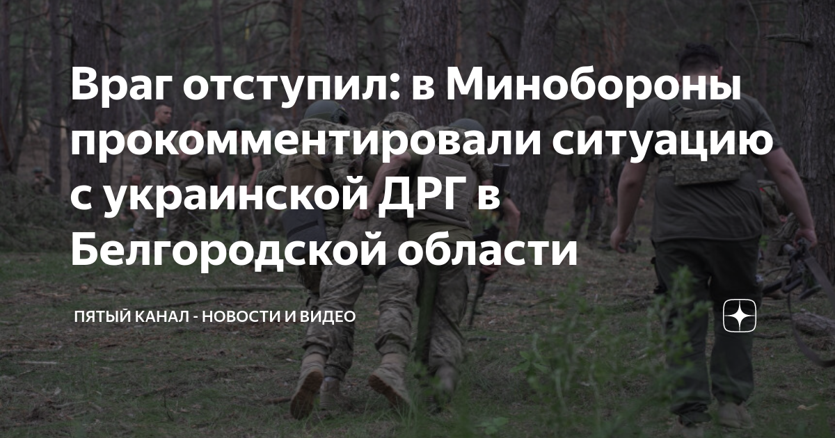 Группировка прикрытия государственной границы. Разведывательно Поисковая группа пограничной службы. ДРГ Белгородская область 4 июня. Минобороны о ситуации в Белгородской области. Новости про Украину Военная обстановка.