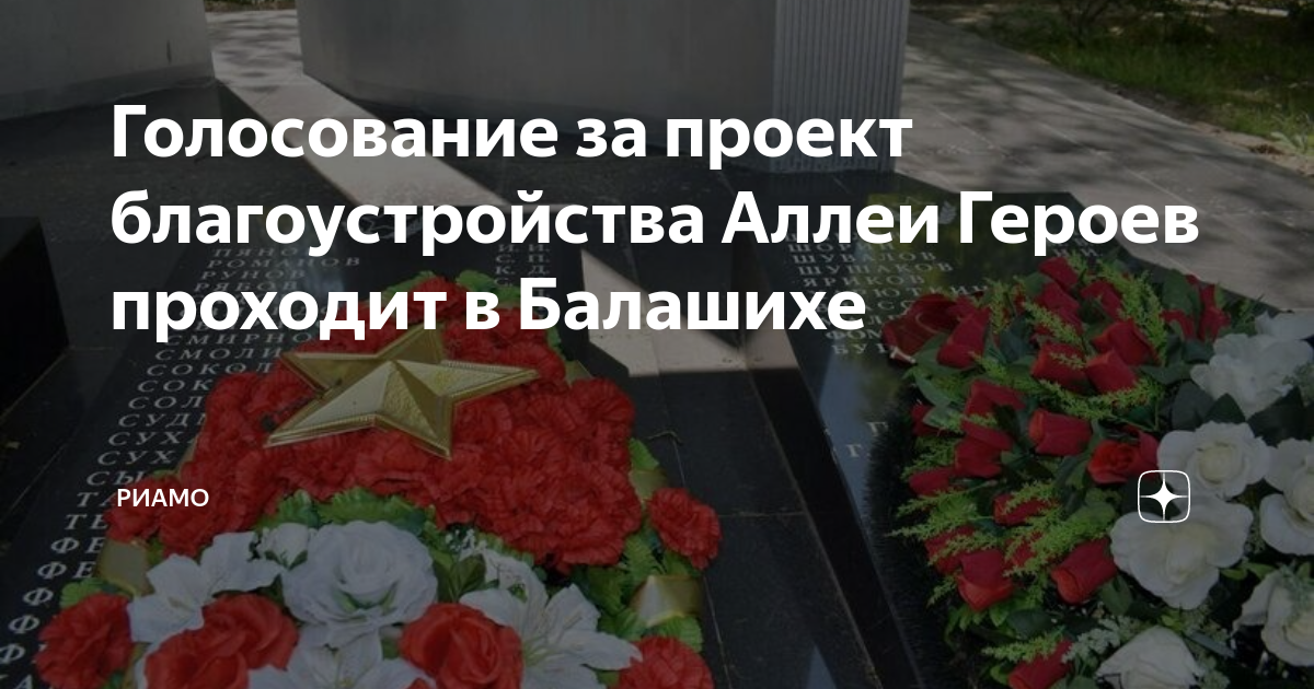 Голосование за проект по благоустройству