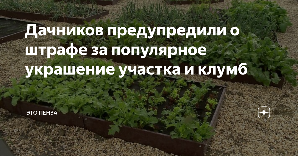 Дачников предупредили о штрафе за популярное украшение участка и клумб ...