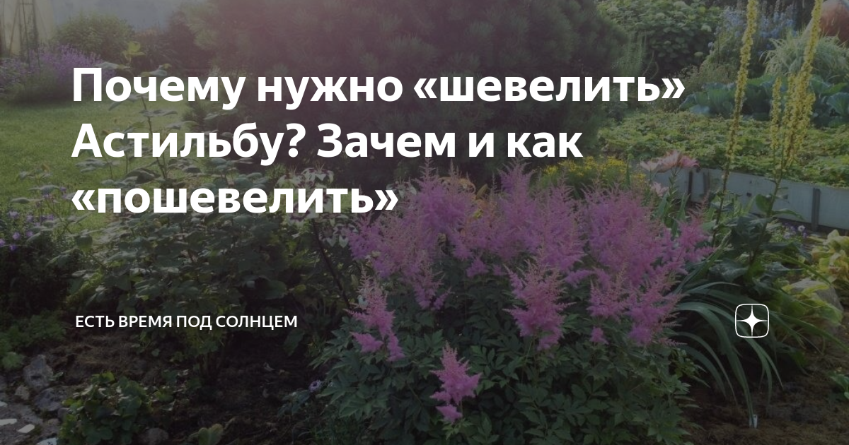 дзен есть время под солнцем. дзен есть время под солнцем. дзен есть время под солнцем. будда шаолинь. мужчина медитирует.