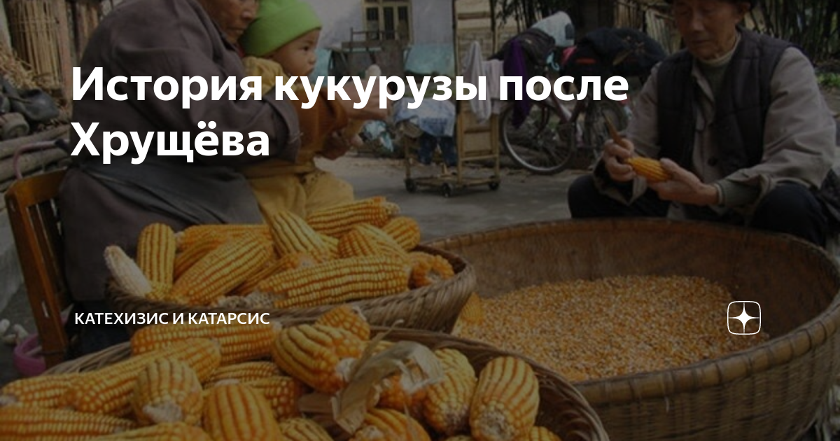 История кукурузы после Хрущёва | Катехизис и Катарсис | Дзен