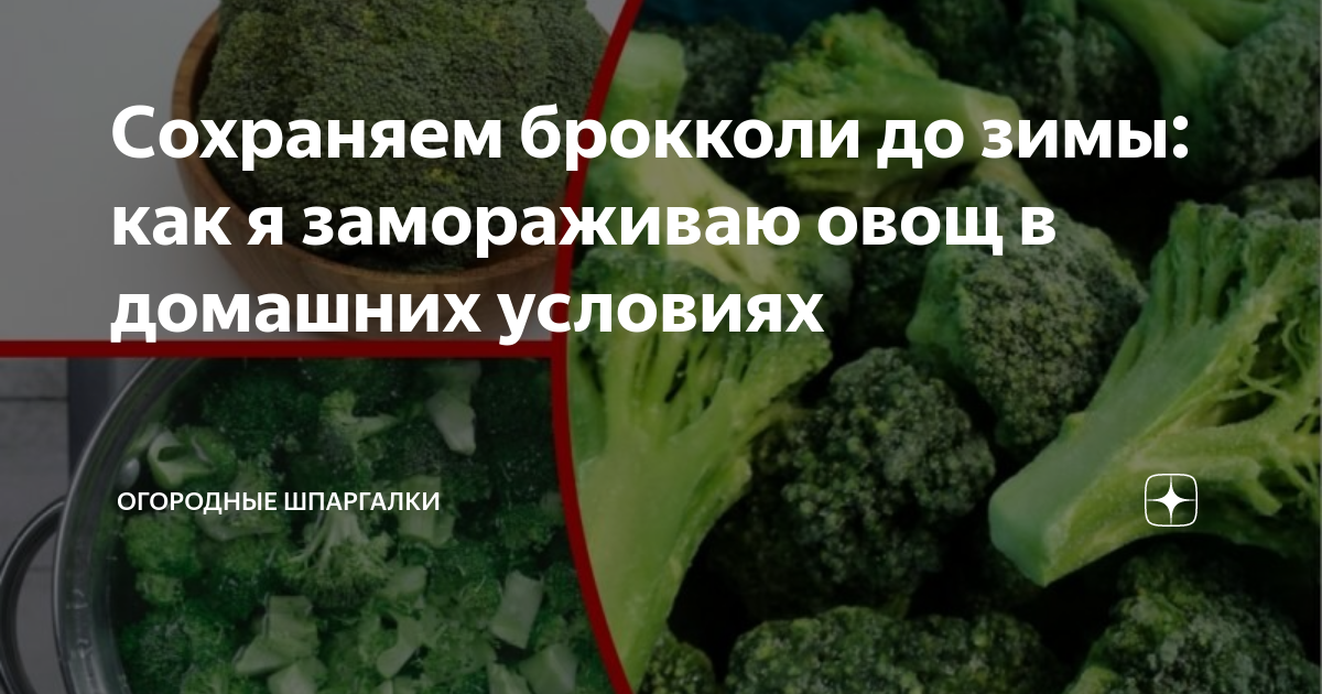 15 продуктов, срок годности которых можно продлить