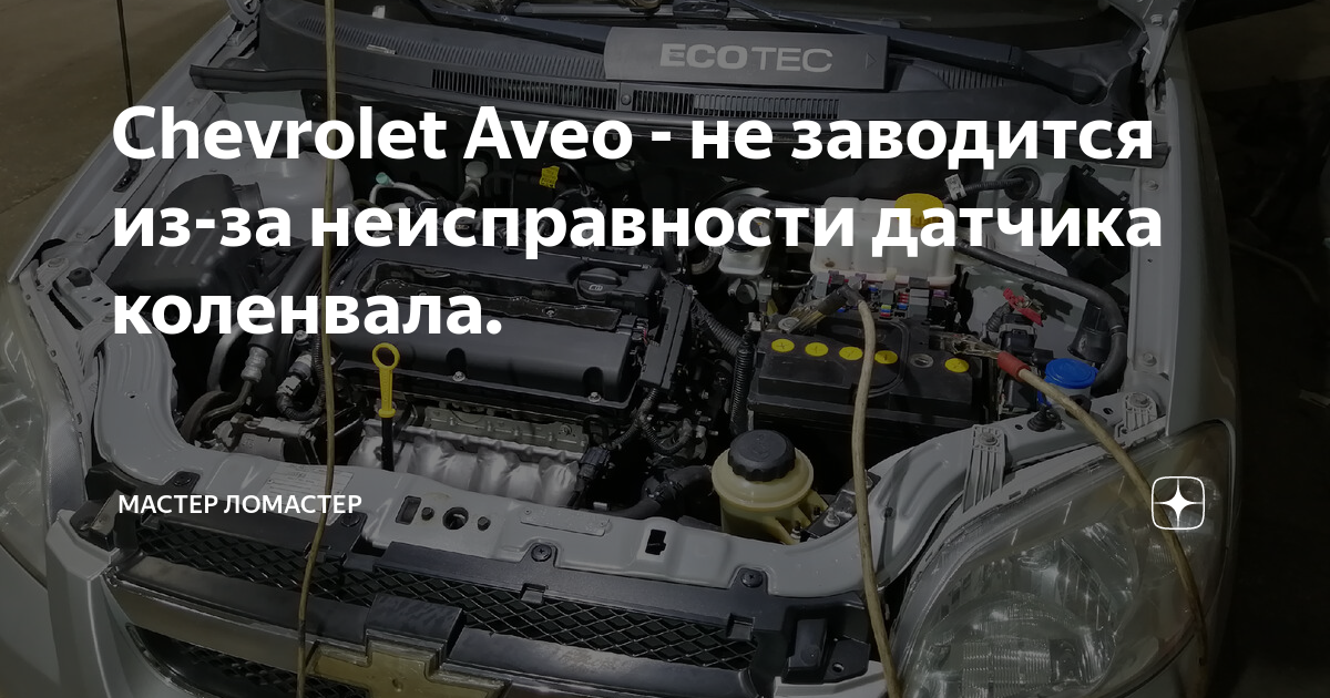 Шевроле Авео не заводится в Мороз причины.