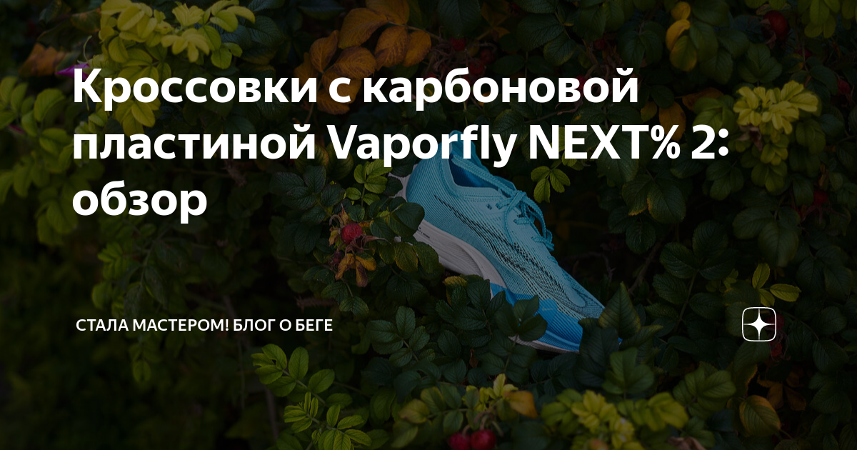 Кроссовки с карбоновой пластиной Vaporfly NEXT% 2: обзор | Стала ...