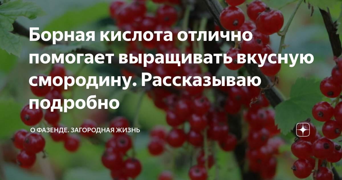 болит ухо борная кислота не помогает