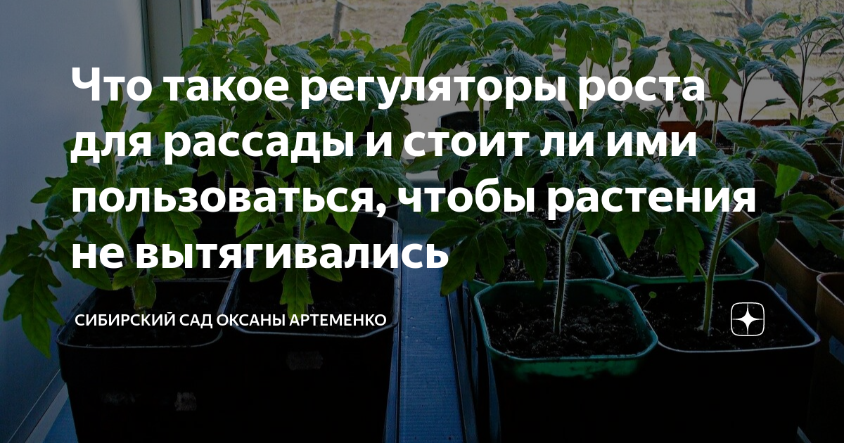 Что такое регуляторы роста для рассады и стоит ли ими пользоваться ...