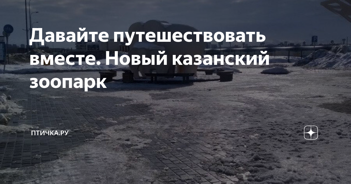 Давайте путешествовать вместе. Новый казанский зоопарк | ПТИЧКА.РУ | Дзен