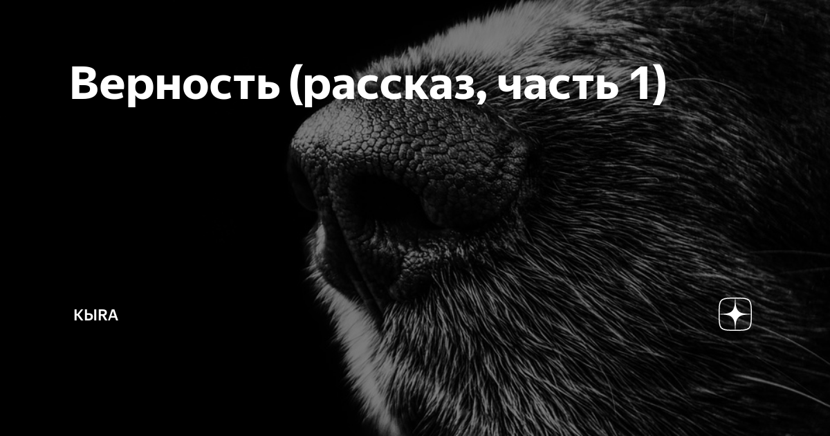 Рассказ верность животных