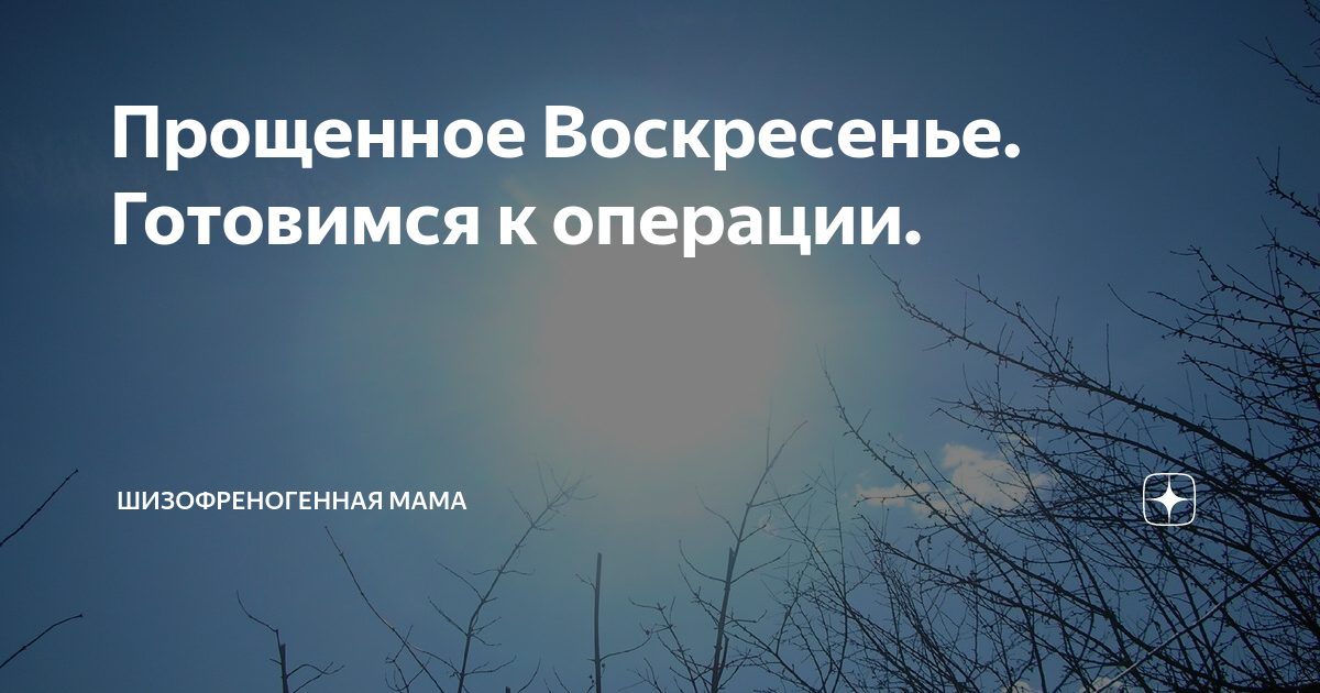 Шизофреногенная мать дзен