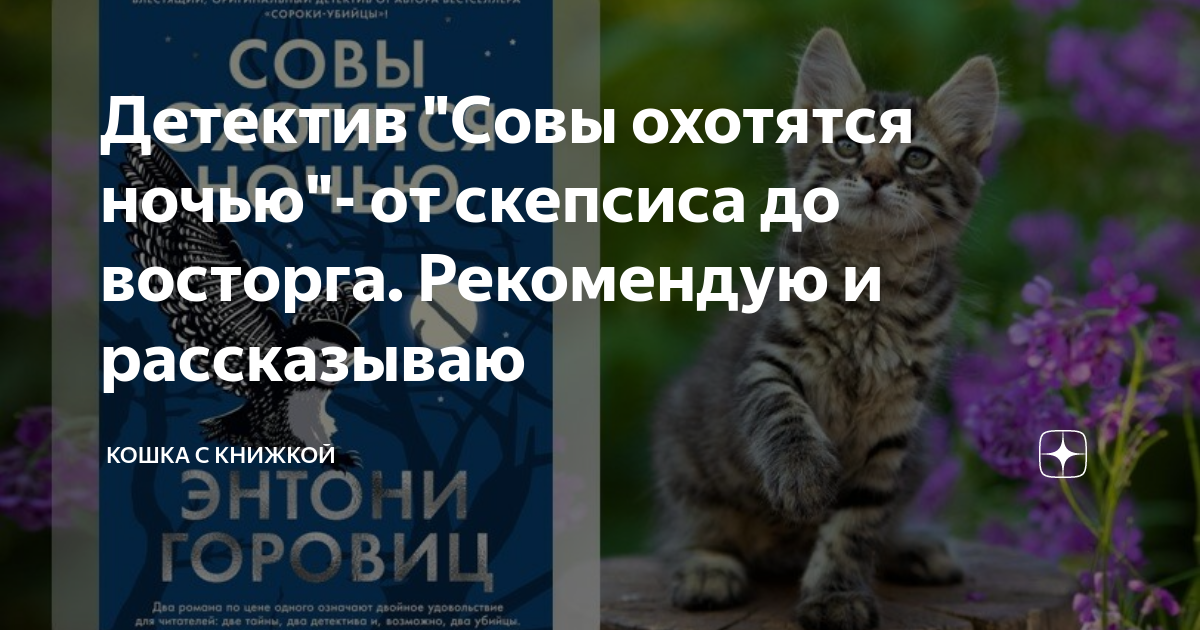 Детектив "Совы охотятся ночью"- от скепсиса до восторга. Рекомендую и ...