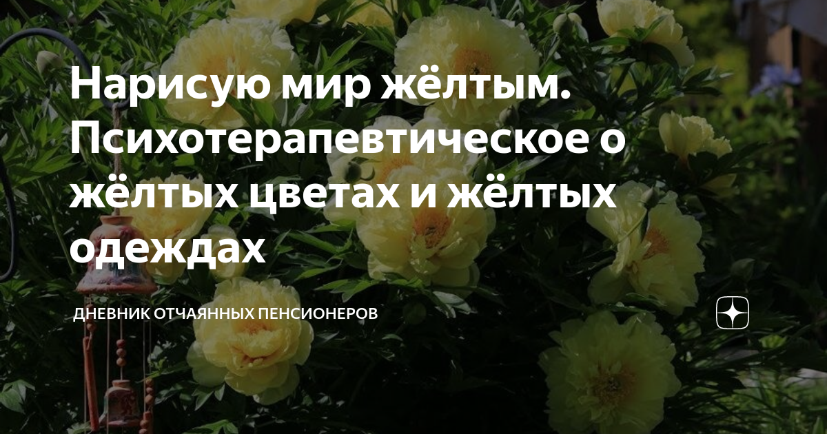 Дневник отчаянных пенсионеров. Дневник отчаянных пенсионеров дзен. Дневник отчаянных пенсионеров последние. Отчаянные пенсионеры дзен.