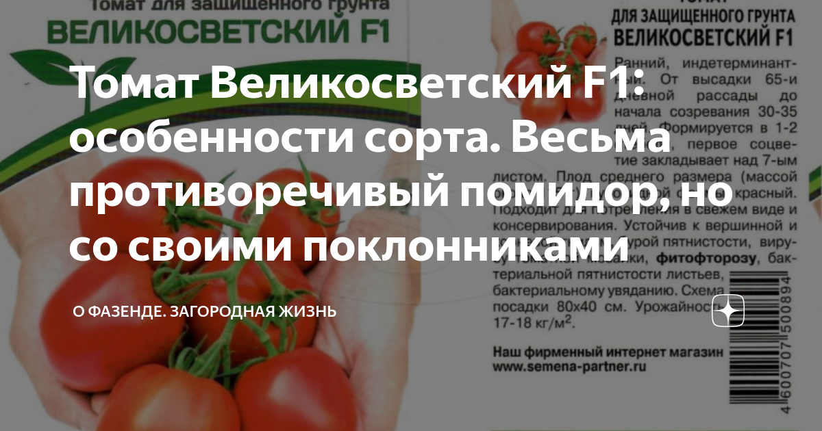 Томат герцогиня вкуса описание