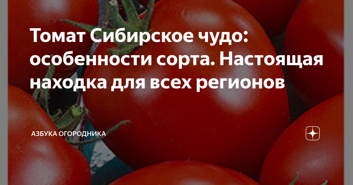 Томат Сибирское чудо: особенности сорта. Настоящая находка для всех ...