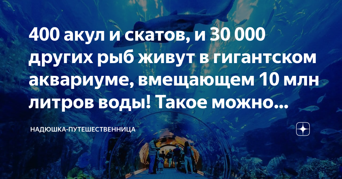 400 акул и скатов, и 30 000 других рыб живут в гигантском аквариуме ...