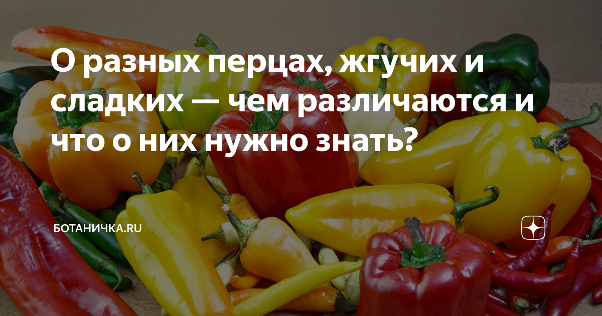 Сладкие перцы: