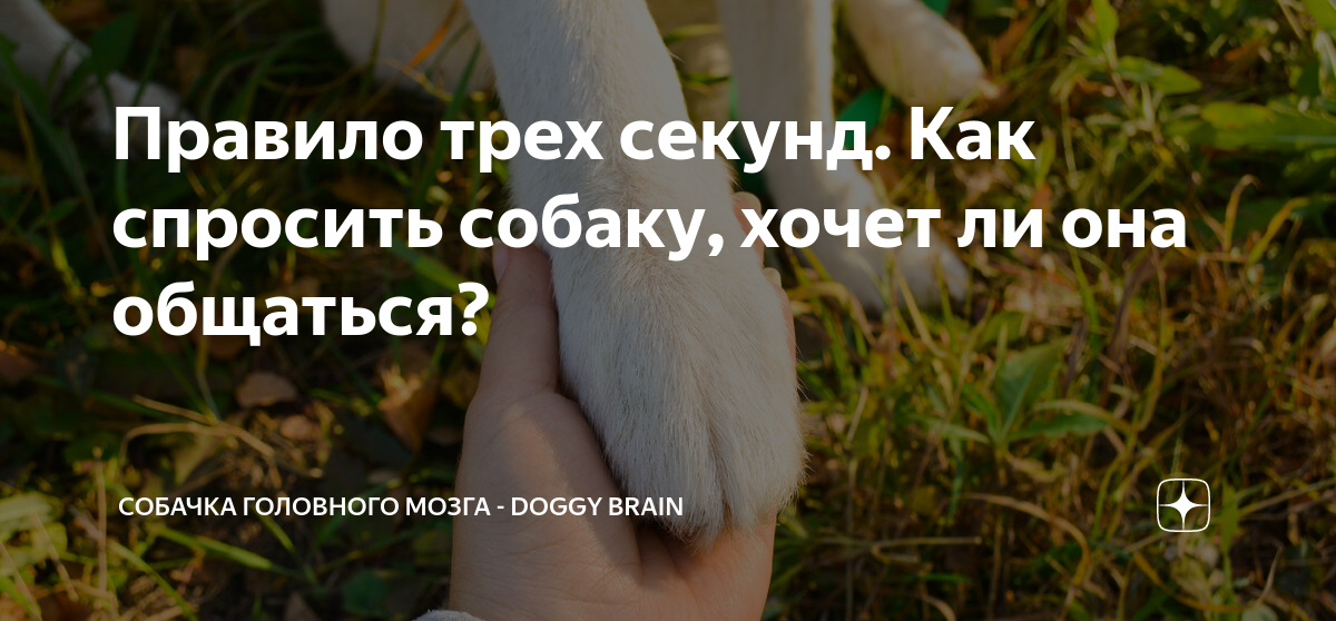 книга правило трех секунд