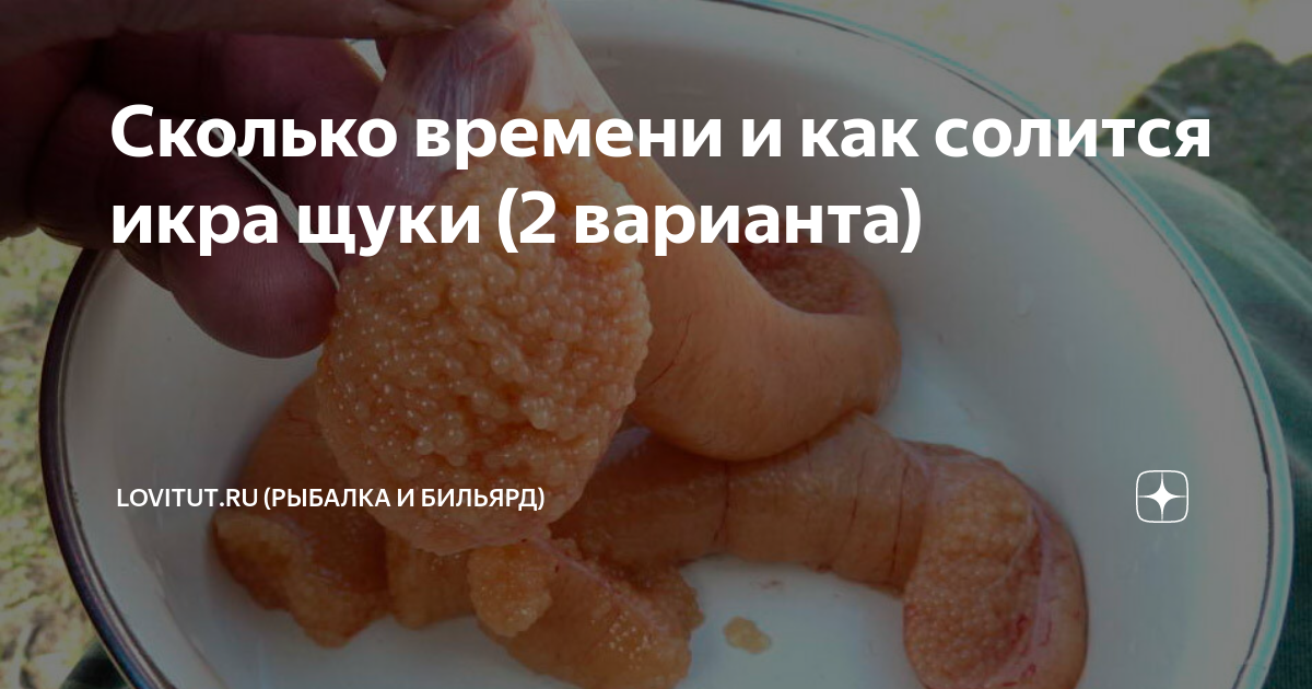 Сколько времени и как солится икра щуки (2 варианта) | LoviTut.ru ...