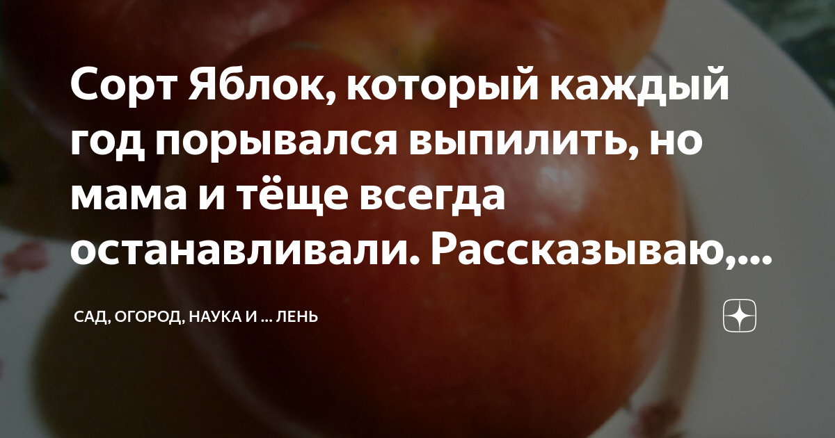 Сорт Яблок, который каждый год порывался выпилить, но мама и тёще ...