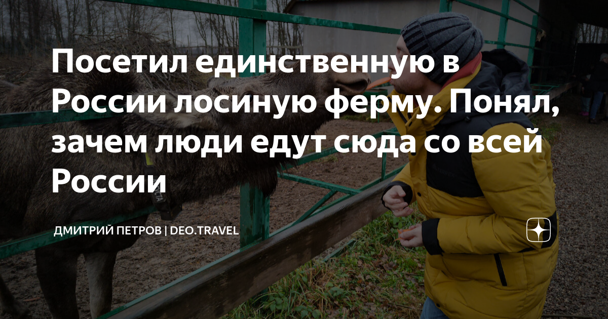 Посетил единственную в России лосиную ферму. Понял, зачем люди едут ...