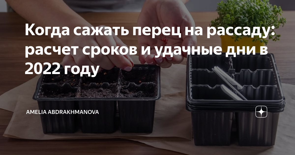 Когда можно сеять перец в марте 2024. Когда сеять перец на рассаду. Когда сажать перец на рассаду. Когда садить перец на рассаду. Посадка томатов на рассаду в 2022 году