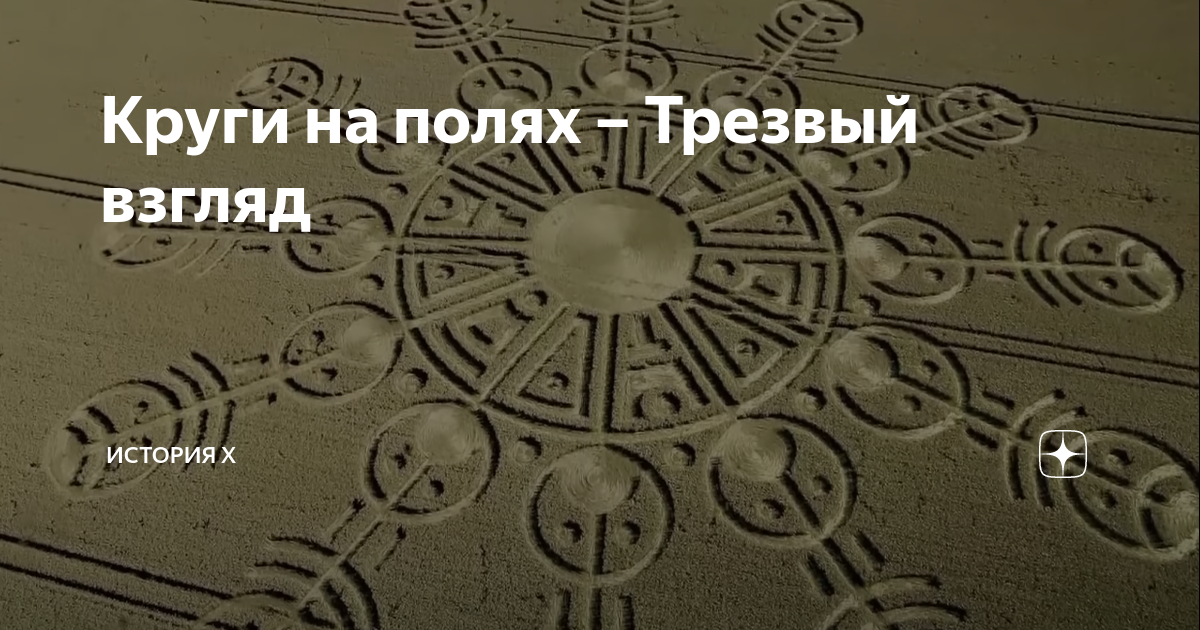 Круги на полях – Трезвый взгляд | История Х | Дзен