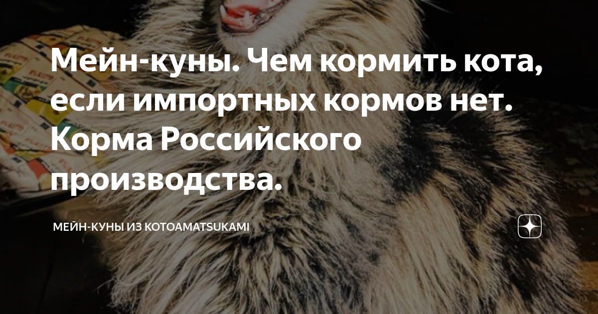 Мейн-куны. Чем кормить кота, если импортных кормов нет. Корма ...