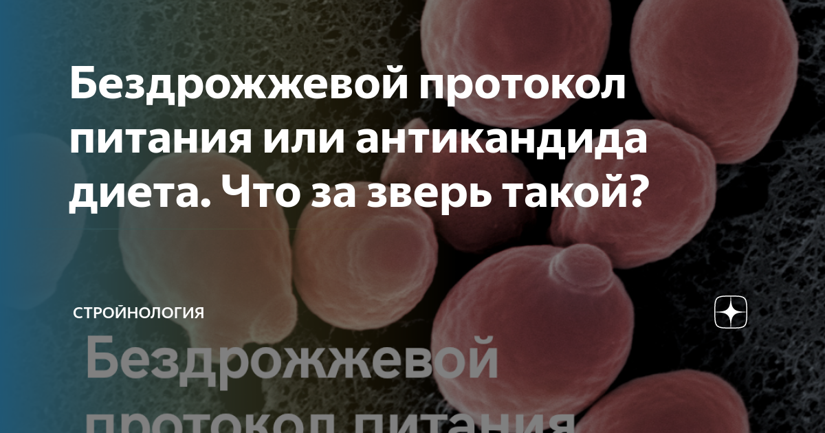 Бездрожжевой протокол. Бездрожжевой протокол. Бездрожжевой протокол по марине розенштейн. Антикандидная диета протокол. Диета при кандидозе.