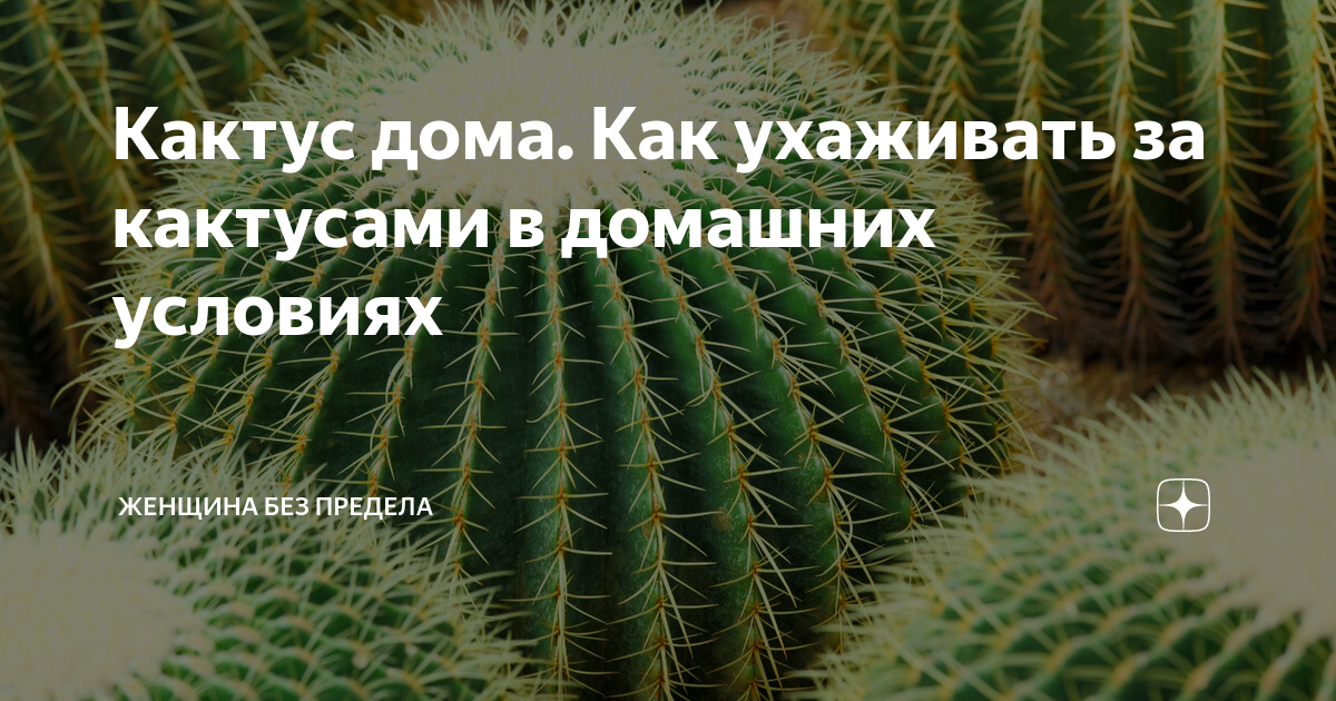 Домашнее насилие. Когда женщина отправляется в тюрьму, а тиран остается дома