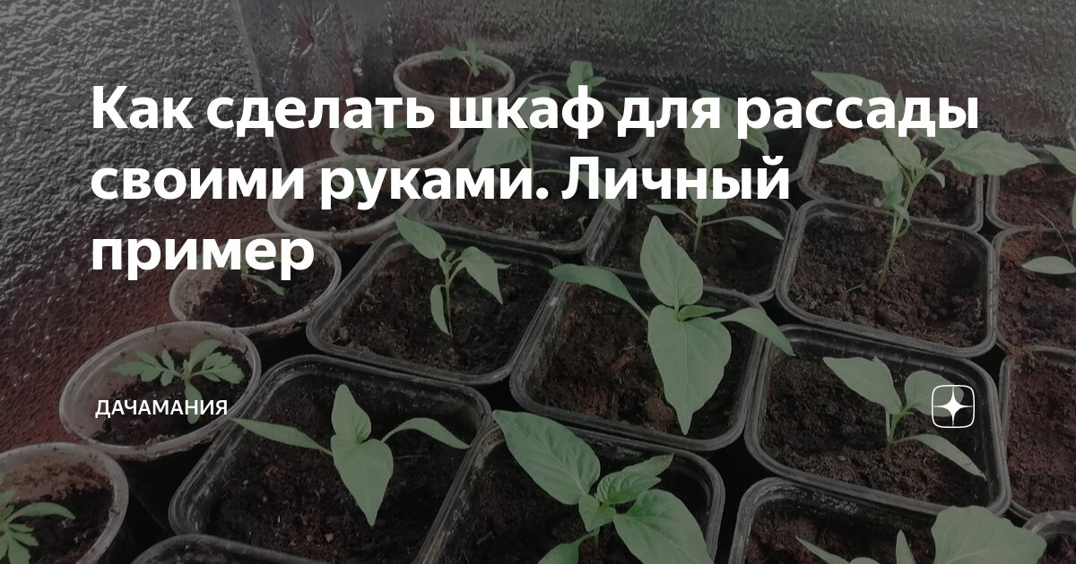 Какие семена посадить на снег и как правильно провести посев: советы, о которых вы не знали