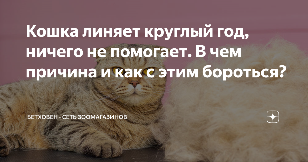 Почему у кошки выпадет шерсть?