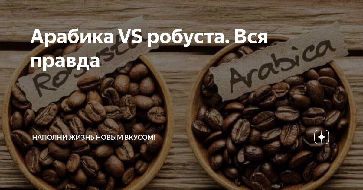 Арабика VS робуста. Вся правда | Наполни жизнь новым вкусом! | Дзен