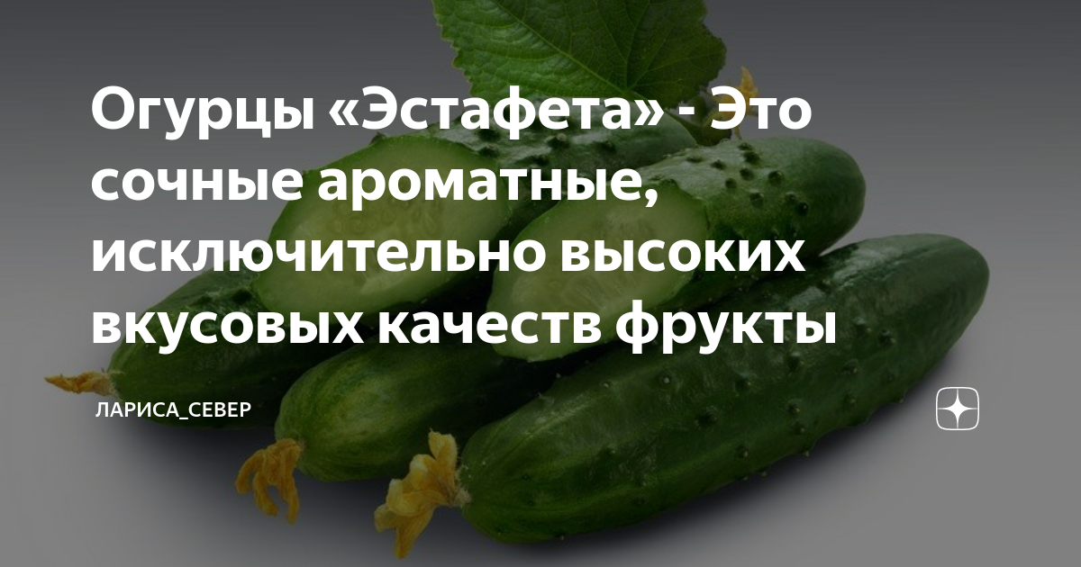 Огурец Эстафета F1 Агрофирма Аэлита 139881087 купить за 115 ₽ в интернет-магазин