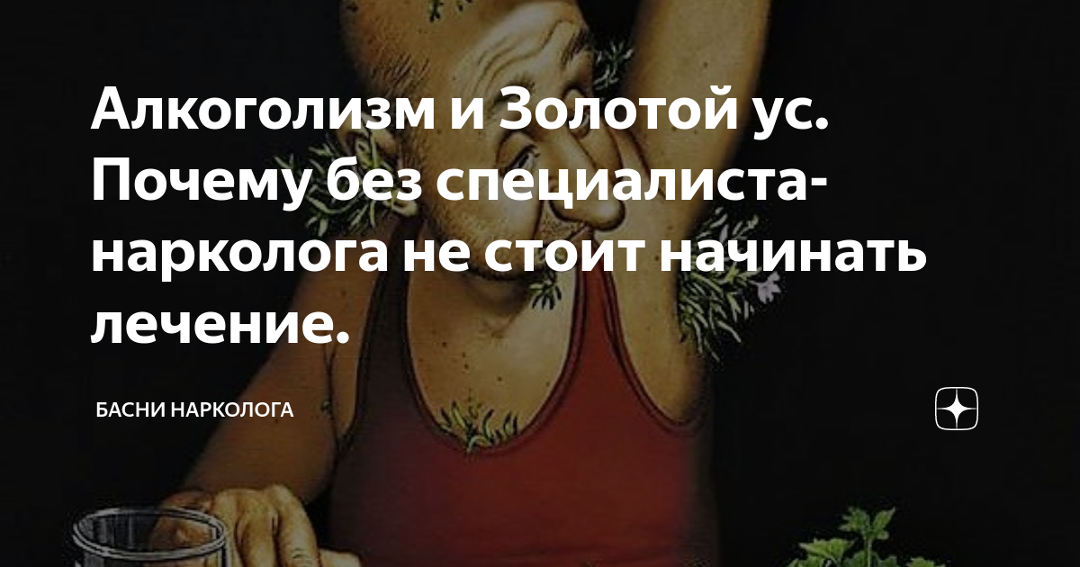 Алкоголизм и Золотой ус. Почему без специалиста-нарколога не стоит ...